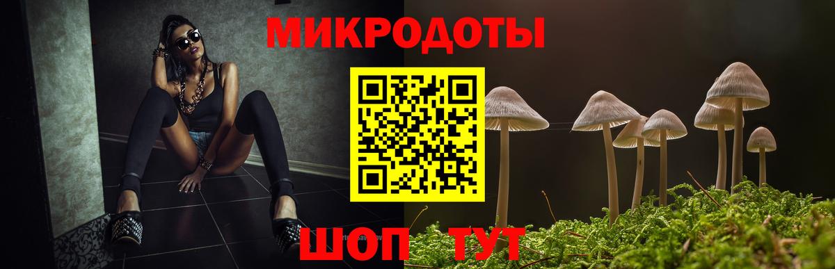 Псилоцибиновые грибы прущие грибы Азнакаево