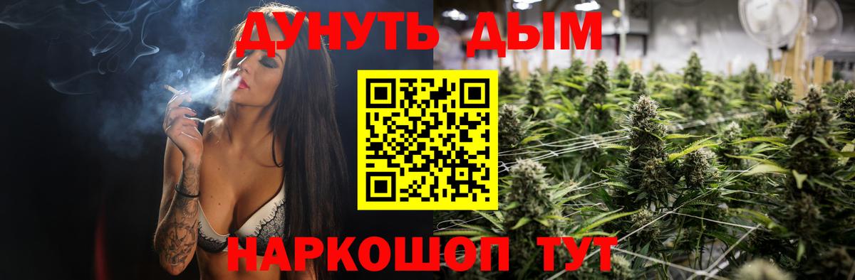 Бошки Шишки марихуана  Вход с VPN  Азнакаево  Марихуана сатива  Шишки марихуана марихуана 